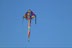 54) Peace, Love, Signature Piece - Scott Brickman - 60x60 Presenters Mix 2012